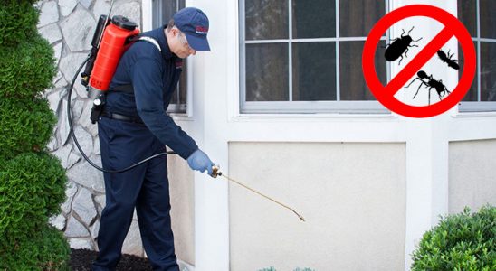 Hopa Sivrisinek İlaçlama böcek ilaçlama ve haşere kontrolü — ilaclama-tr.com